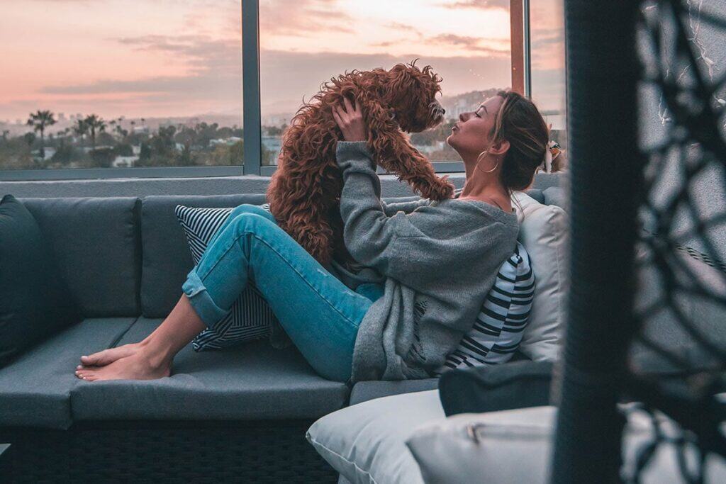 Entzückende Frau hält verspielten Hund zu Hause auf dem Sofa bei Sonnenuntergang, genießt liebevolle Momente mit ihrem Haustier, perfekt für Katzen- und Hundeliebhaber.