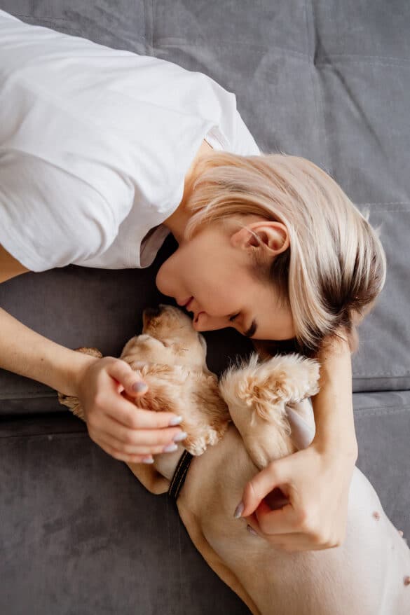 - Ein junger Mensch kuschelt liebevoll mit seinem golden Retriever Welpen auf einem grauen Sofa, zeigt Zuneigung und bindet Tierliebe hervor.