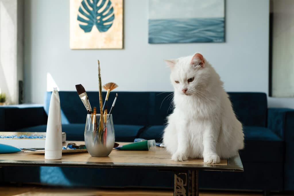 Perserkatze sitzt auf einem Tisch neben Malpinseln.