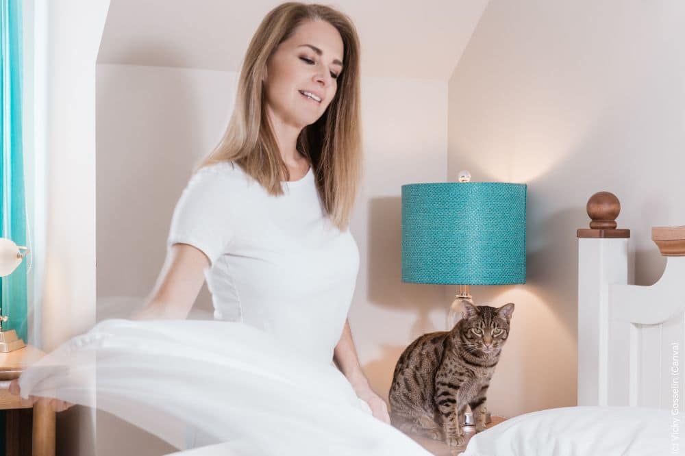 Ocicat Katze - freundlich und neugierig sieht sie beim Bett machen zu.